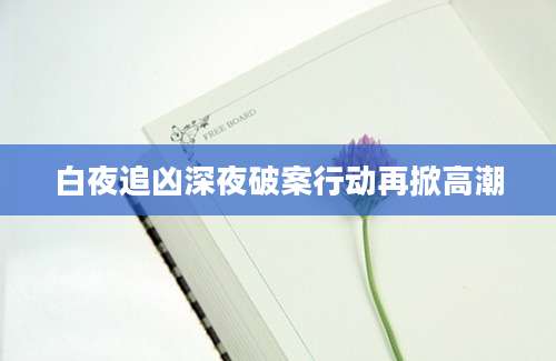 白夜追凶深夜破案行动再掀高潮