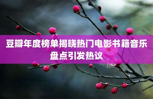 豆瓣年度榜单揭晓热门电影书籍音乐盘点引发热议