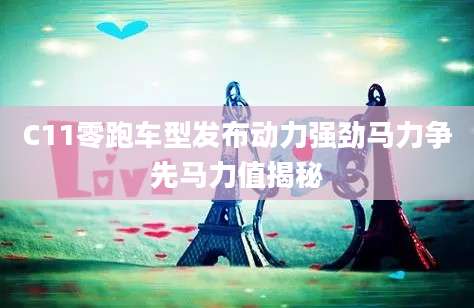 C11零跑车型发布动力强劲马力争先马力值揭秘