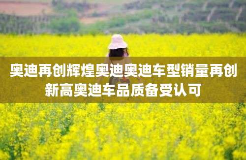 奥迪再创辉煌奥迪奥迪车型销量再创新高奥迪车品质备受认可
