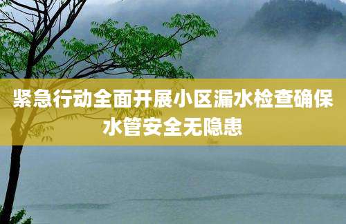 紧急行动全面开展小区漏水检查确保水管安全无隐患