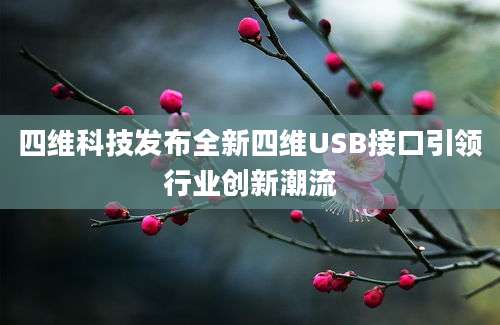 四维科技发布全新四维USB接口引领行业创新潮流