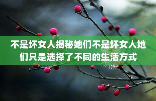 不是坏女人揭秘她们不是坏女人她们只是选择了不同的生活方式