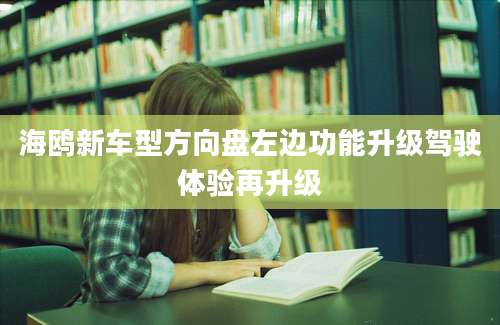 海鸥新车型方向盘左边功能升级驾驶体验再升级
