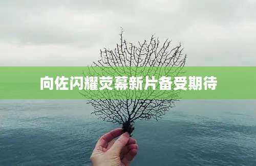向佐闪耀荧幕新片备受期待