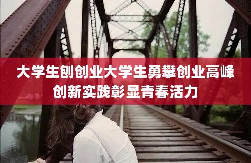 大学生刨创业大学生勇攀创业高峰创新实践彰显青春活力
