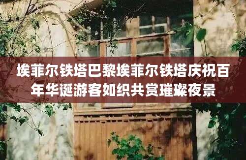 埃菲尔铁塔巴黎埃菲尔铁塔庆祝百年华诞游客如织共赏璀璨夜景