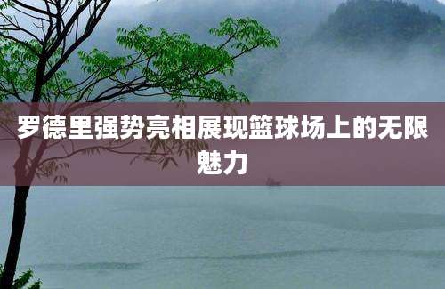 罗德里强势亮相展现篮球场上的无限魅力