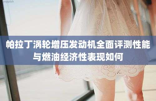 帕拉丁涡轮增压发动机全面评测性能与燃油经济性表现如何