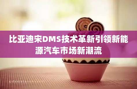 比亚迪宋DMS技术革新引领新能源汽车市场新潮流