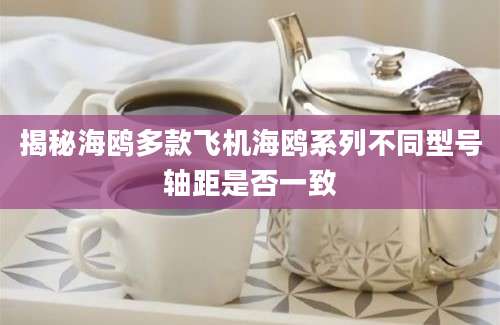 揭秘海鸥多款飞机海鸥系列不同型号轴距是否一致