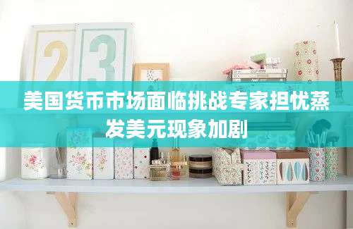 美国货币市场面临挑战专家担忧蒸发美元现象加剧
