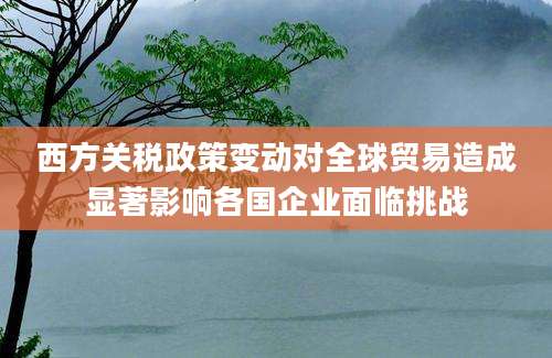 西方关税政策变动对全球贸易造成显著影响各国企业面临挑战