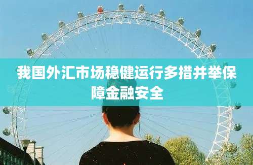 我国外汇市场稳健运行多措并举保障金融安全