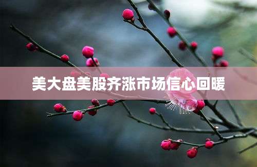 美大盘美股齐涨市场信心回暖