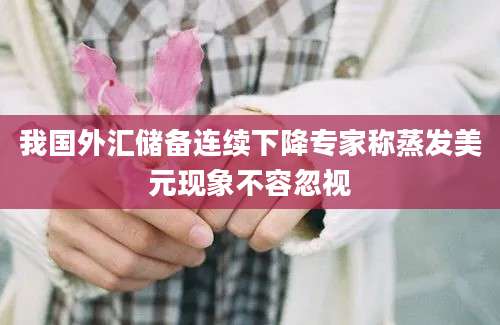我国外汇储备连续下降专家称蒸发美元现象不容忽视