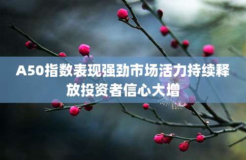 A50指数表现强劲市场活力持续释放投资者信心大增