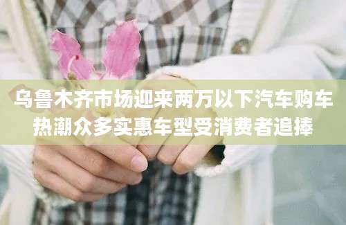 乌鲁木齐市场迎来两万以下汽车购车热潮众多实惠车型受消费者追捧