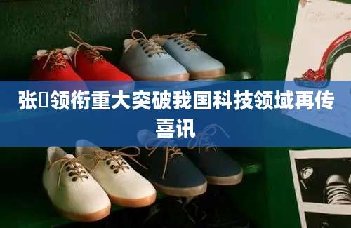 张堃领衔重大突破我国科技领域再传喜讯