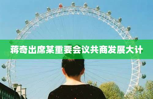 蒋奇出席某重要会议共商发展大计