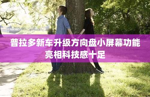 普拉多新车升级方向盘小屏幕功能亮相科技感十足
