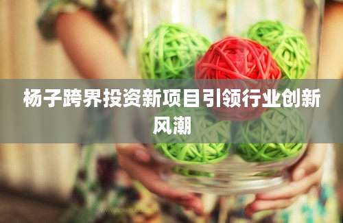 杨子跨界投资新项目引领行业创新风潮