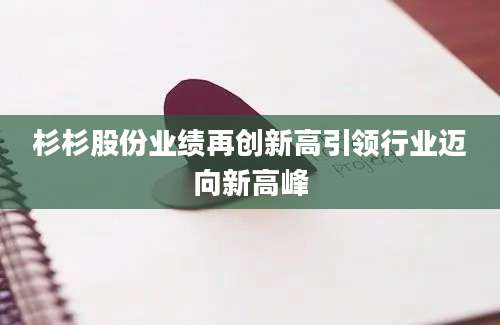 杉杉股份业绩再创新高引领行业迈向新高峰