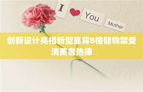 创新设计亮相新型靠背8格储物架受消费者热捧
