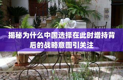 揭秘为什么中国选择在此时增持背后的战略意图引关注