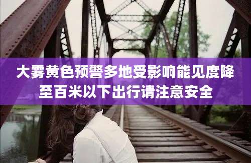 大雾黄色预警多地受影响能见度降至百米以下出行请注意安全