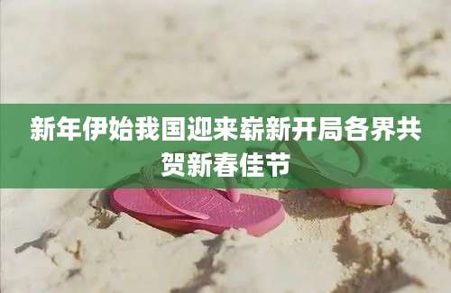 新年伊始我国迎来崭新开局各界共贺新春佳节
