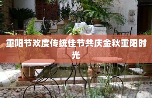 重阳节欢度传统佳节共庆金秋重阳时光