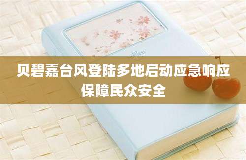 贝碧嘉台风登陆多地启动应急响应保障民众安全