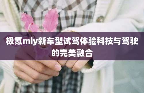 极氪miy新车型试驾体验科技与驾驶的完美融合