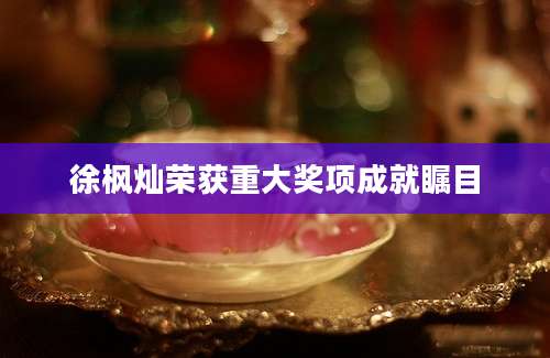 徐枫灿荣获重大奖项成就瞩目