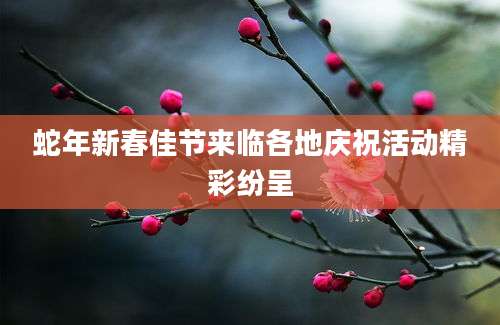 蛇年新春佳节来临各地庆祝活动精彩纷呈