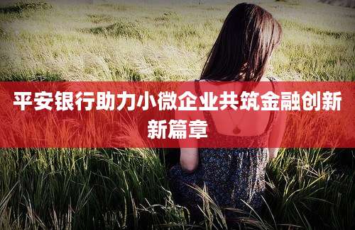 平安银行助力小微企业共筑金融创新新篇章