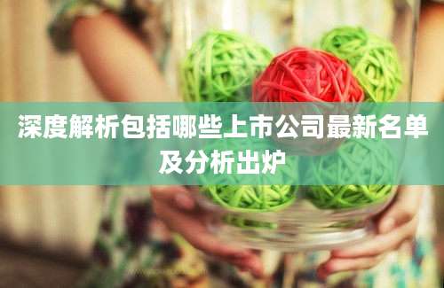 深度解析包括哪些上市公司最新名单及分析出炉