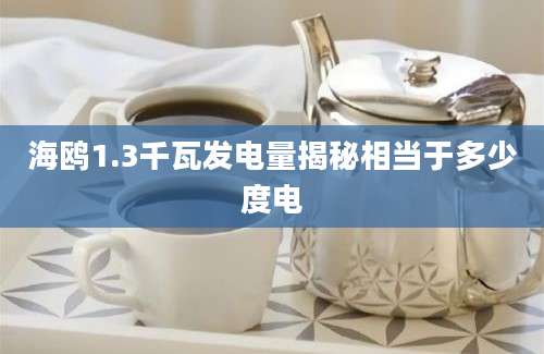 海鸥1.3千瓦发电量揭秘相当于多少度电