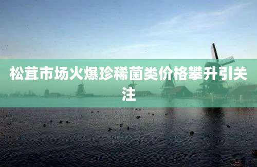 松茸市场火爆珍稀菌类价格攀升引关注