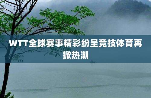 WTT全球赛事精彩纷呈竞技体育再掀热潮