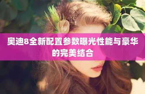 奥迪8全新配置参数曝光性能与豪华的完美结合