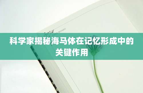 科学家揭秘海马体在记忆形成中的关键作用