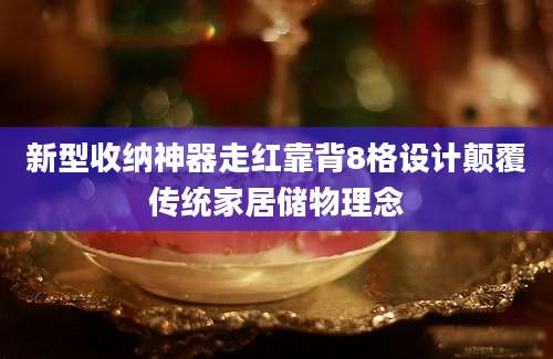 新型收纳神器走红靠背8格设计颠覆传统家居储物理念