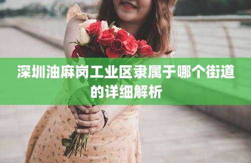 深圳油麻岗工业区隶属于哪个街道的详细解析