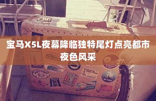 宝马X5L夜幕降临独特尾灯点亮都市夜色风采