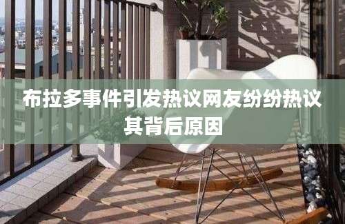布拉多事件引发热议网友纷纷热议其背后原因