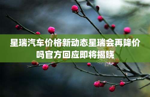 星瑞汽车价格新动态星瑞会再降价吗官方回应即将揭晓