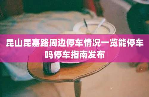 昆山昆嘉路周边停车情况一览能停车吗停车指南发布