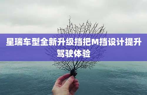 星瑞车型全新升级挡把M挡设计提升驾驶体验